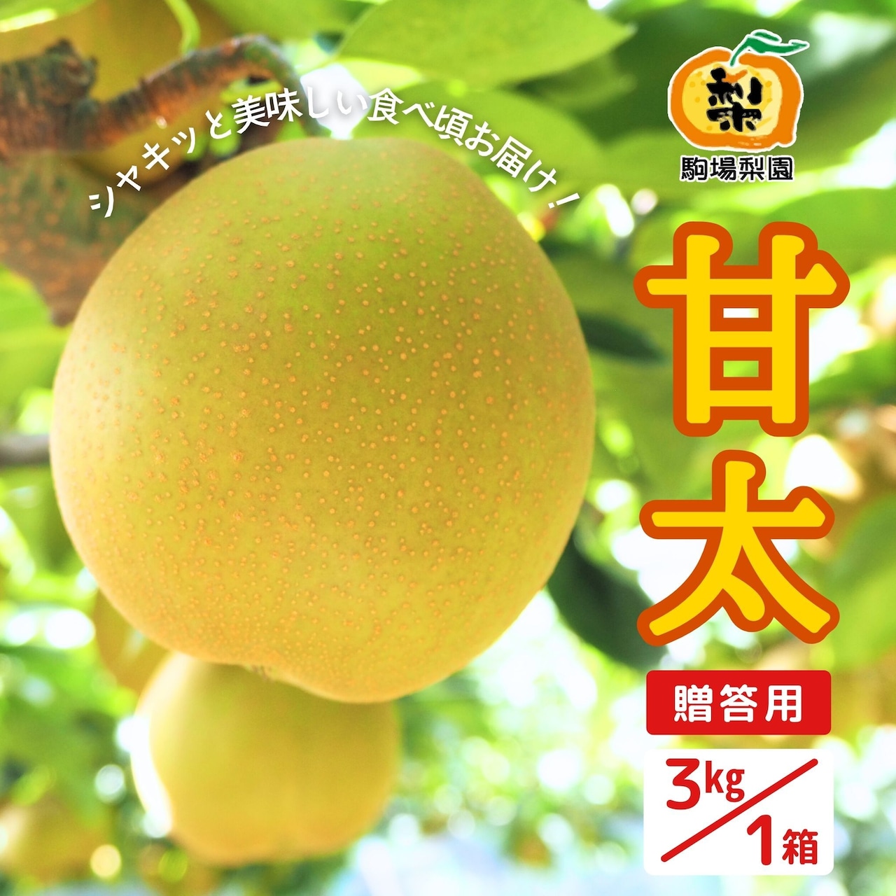 完熟梨「あきづき」「甘太」8/20（木）注文受付開始！