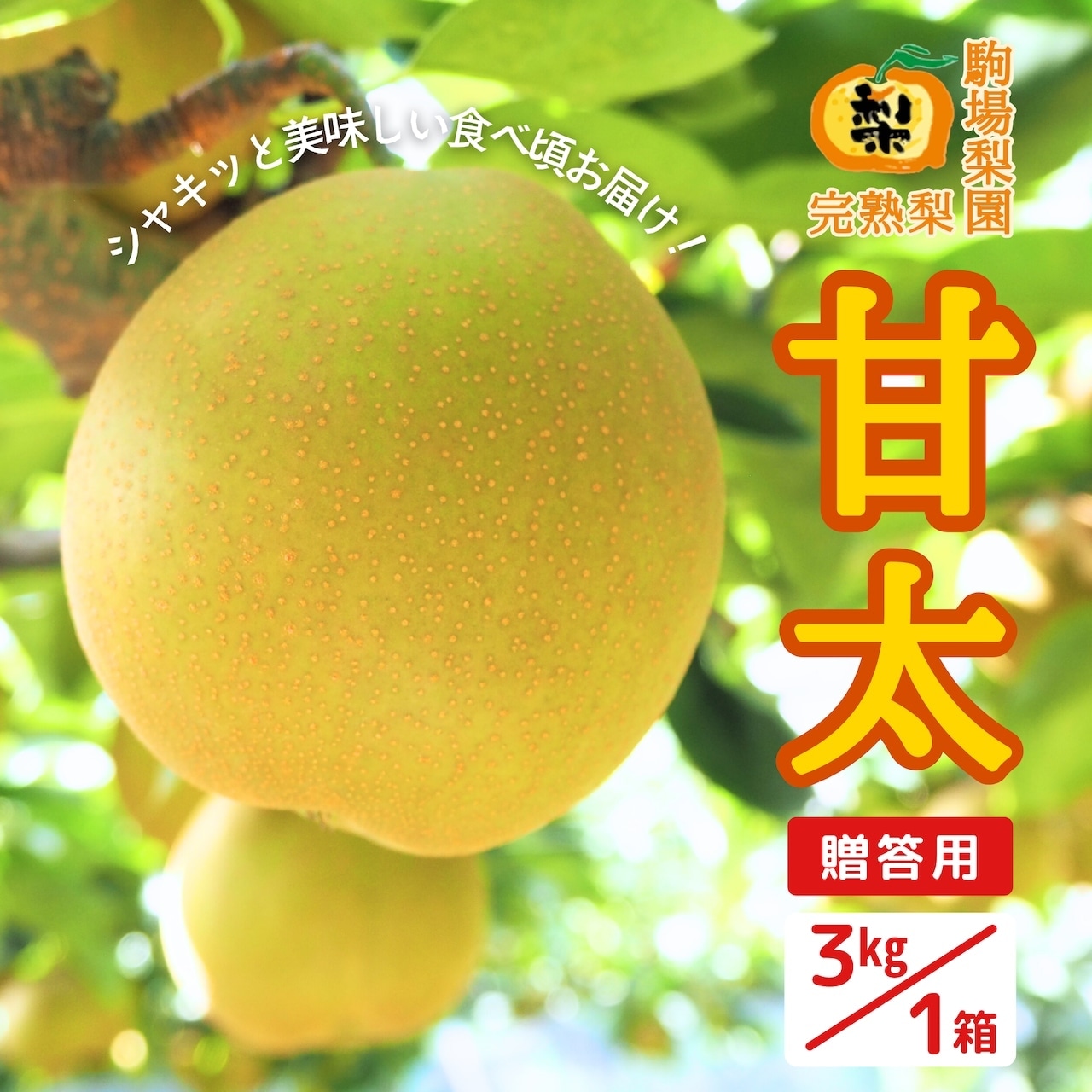 「完熟梨・甘太」の注文受付は終了!