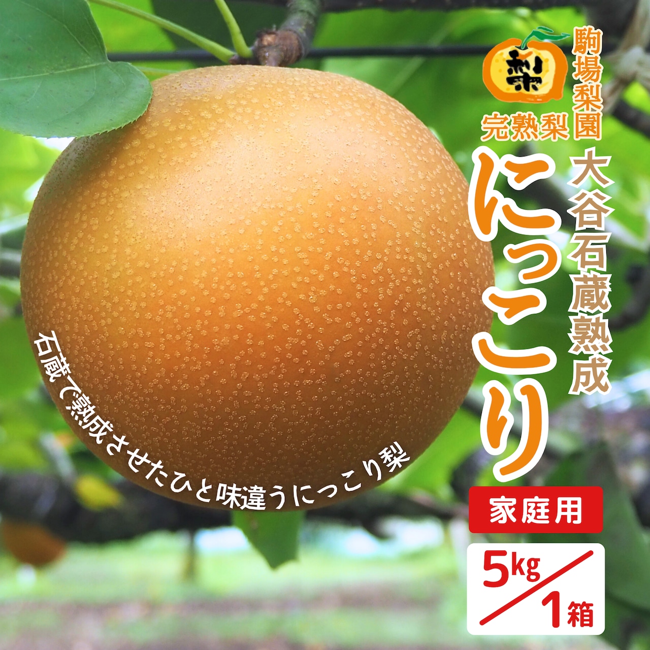 『超大玉』「大谷石蔵熟成にっこり」のみ完売！