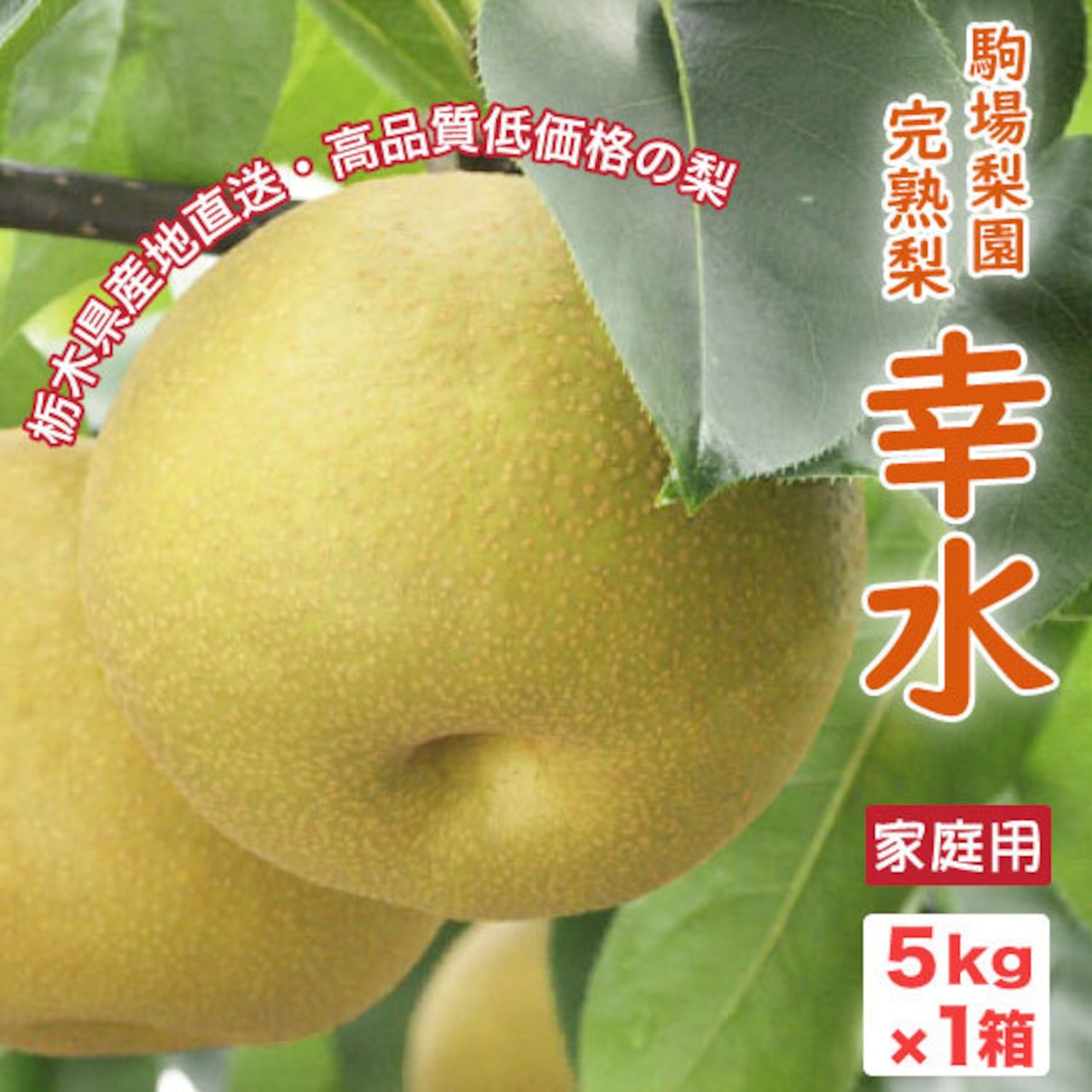 「栃木県産完熟梨・幸水」の注文受付は8/28まで！