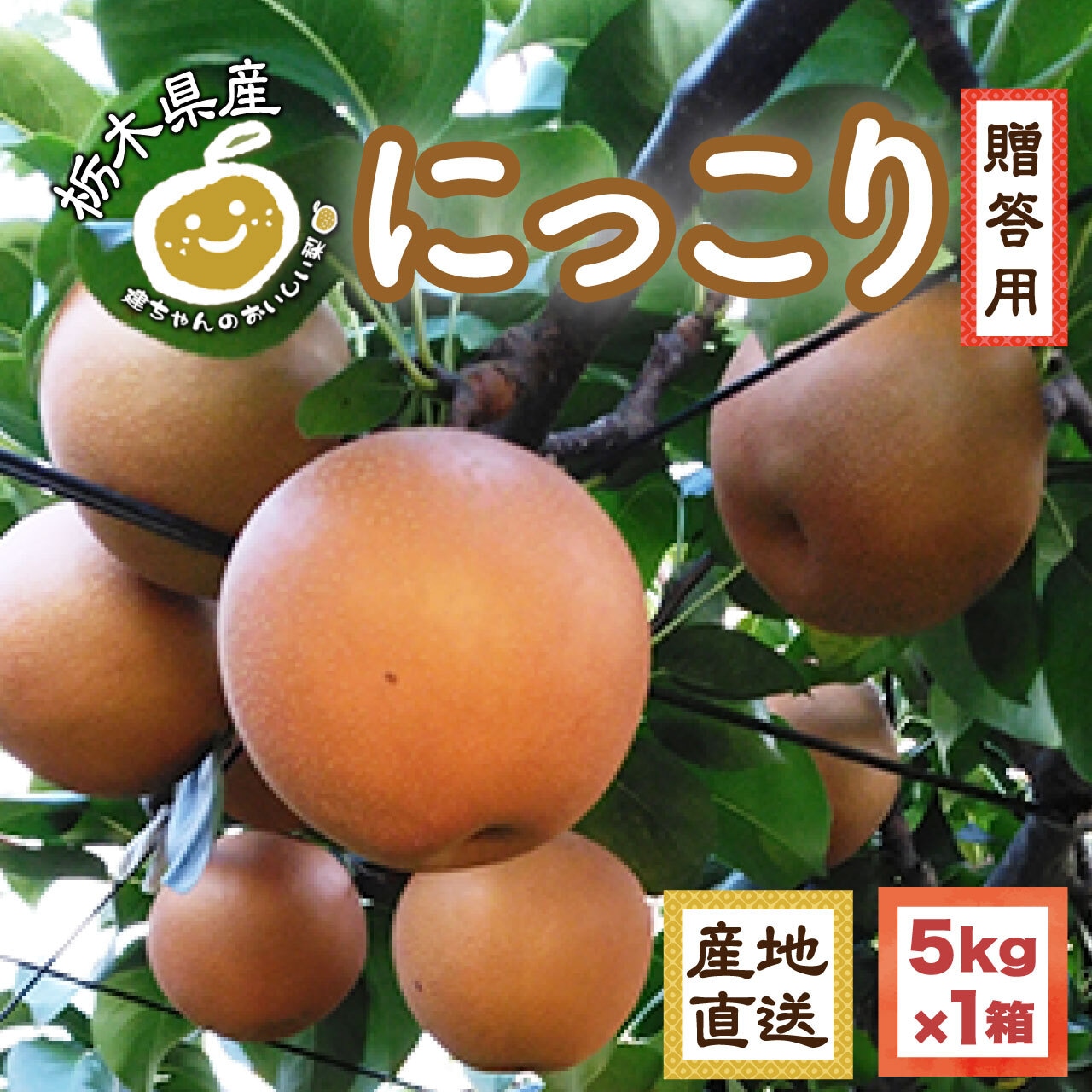「にっこり」完売御礼