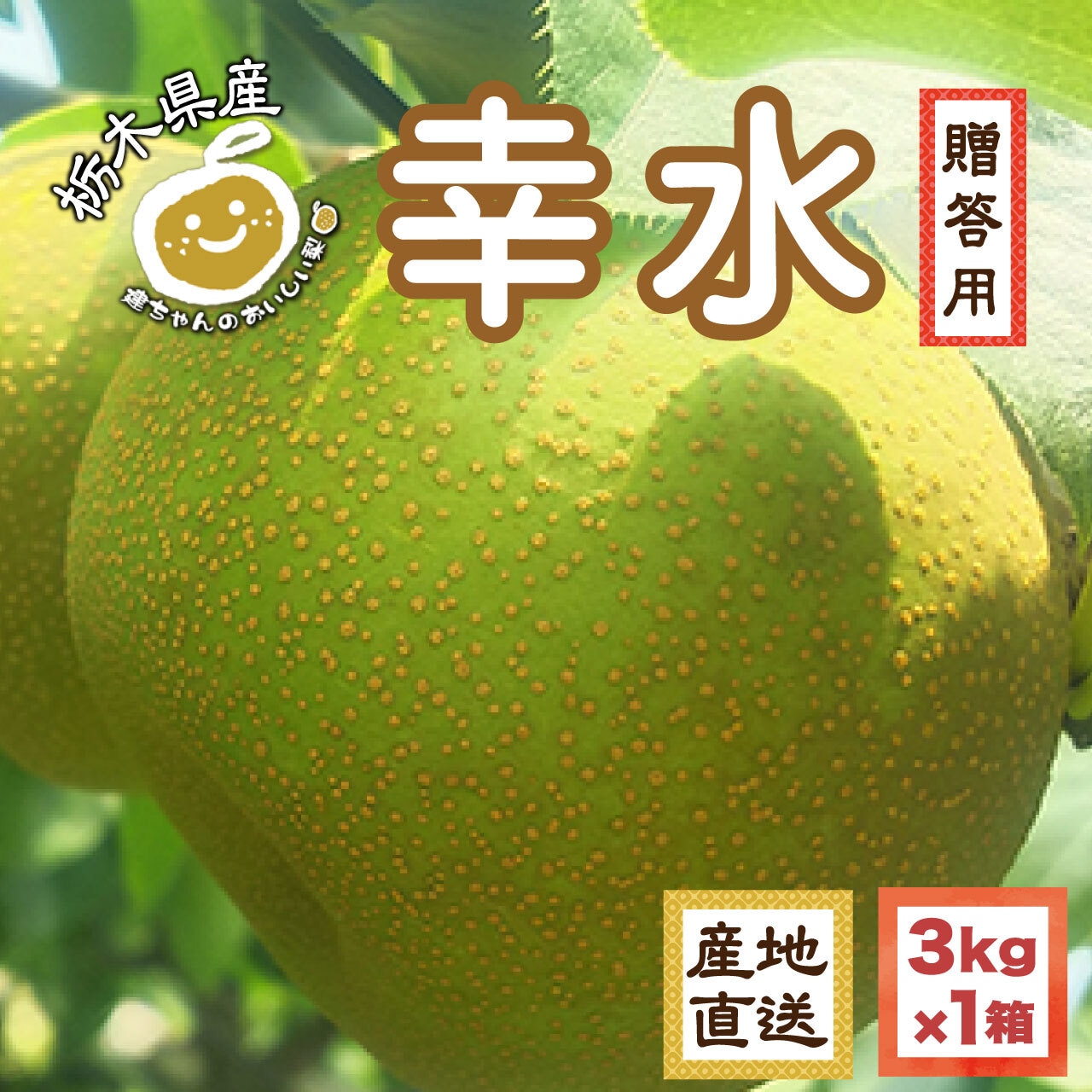 梨「幸水」を8/1(金)から注文受付開始!