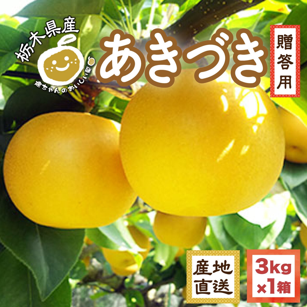 「豊水」完売御礼＆「あきづき」注文受付中！