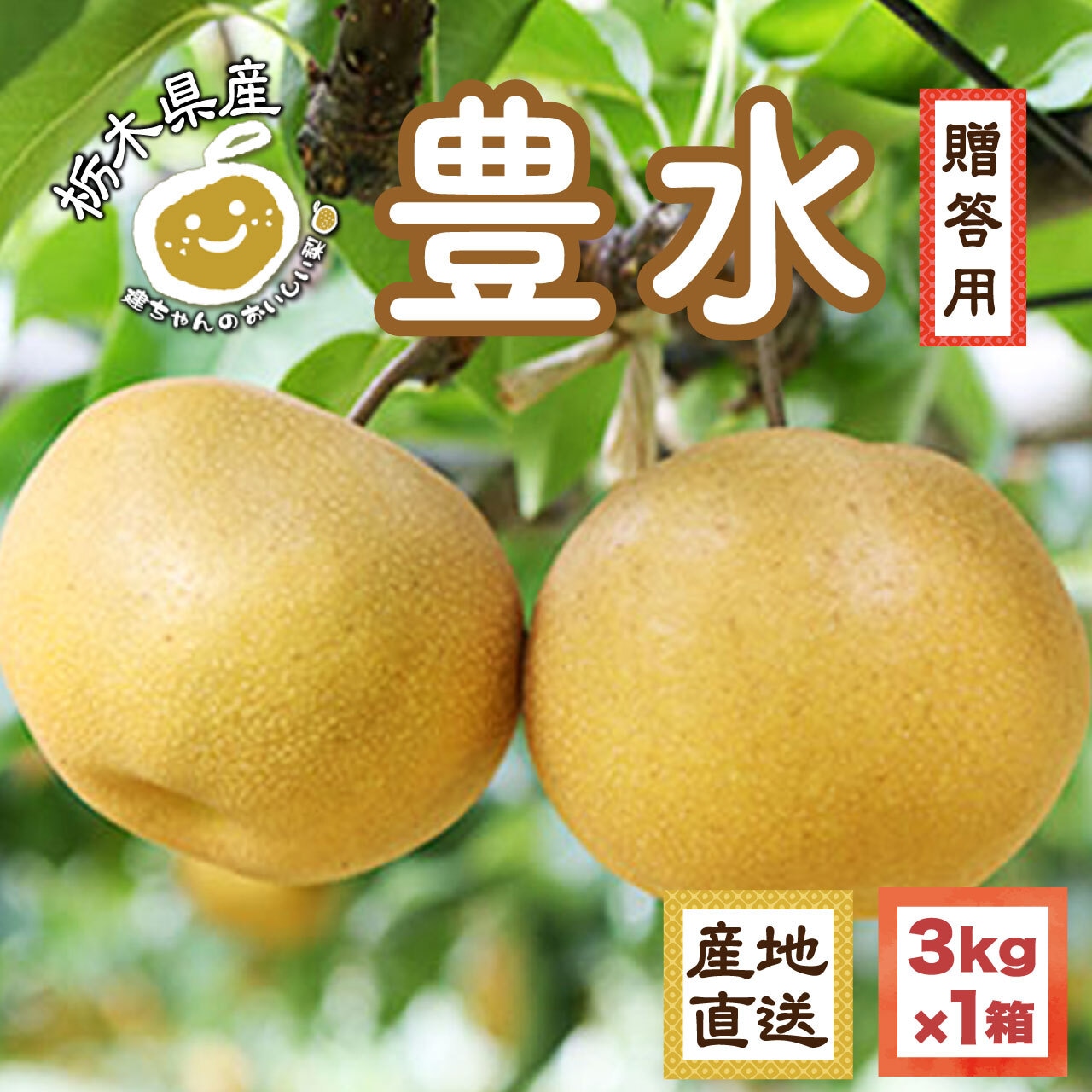 「豊水」ネット注文は9/20(土)まで!&「あきづき」間もなく発送開始!