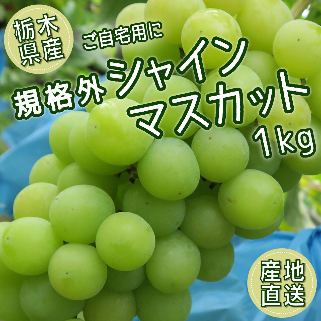 9/1の「注文受付」状況！