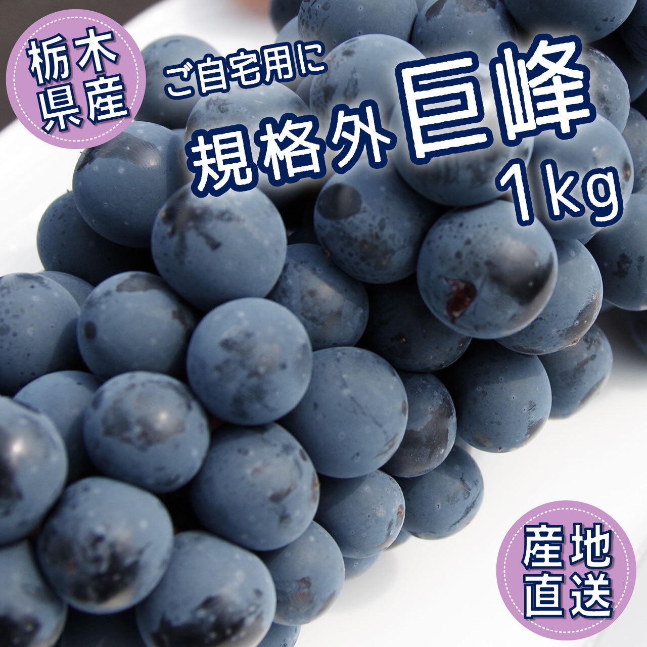 9/20（土）で今シーズンのぶどうの注文受付は終了いたします！