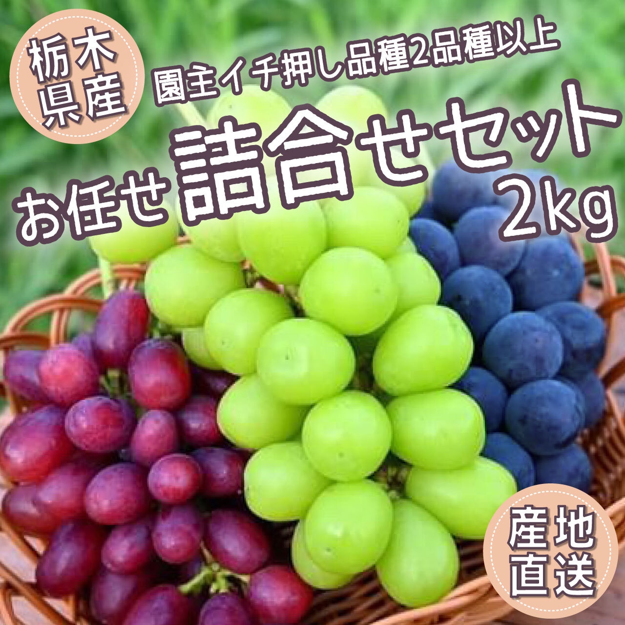 「詰合せセット」「規格外巨峰」の注文受付を再開!