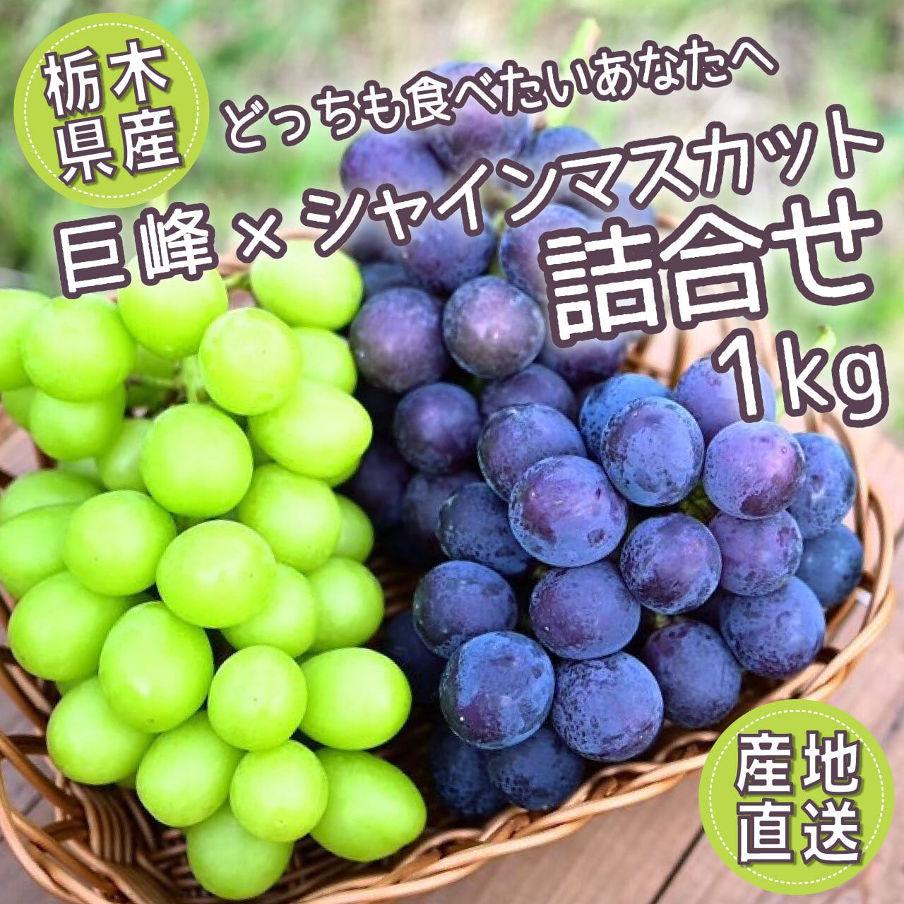 2026年シーズンの「ぶどう」8月1日（土）に注文受付開始！