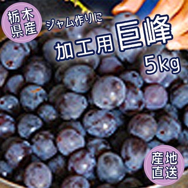 「加工用巨峰 5kg」を販売開始！