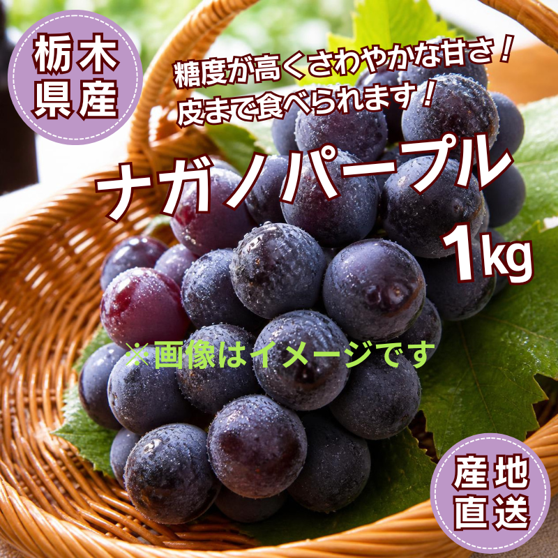 2026年シーズンからネット販売開始の5品種！