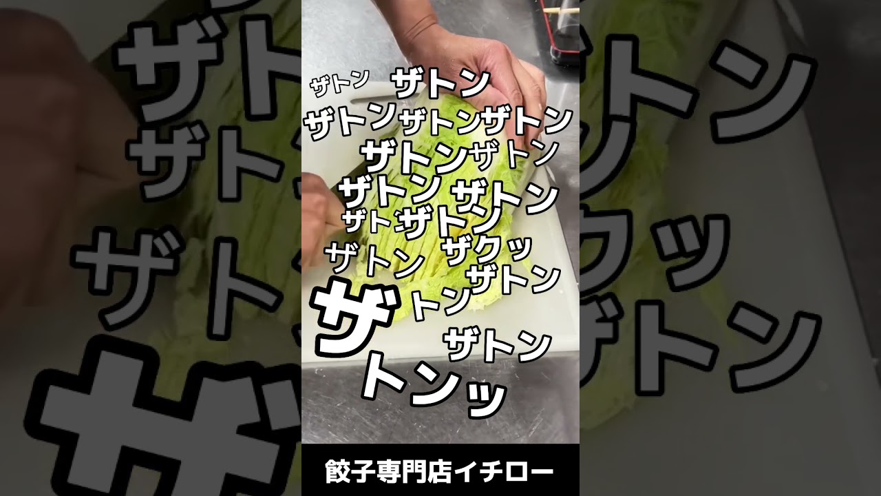 【日々のブログ】白菜のざく切り動画