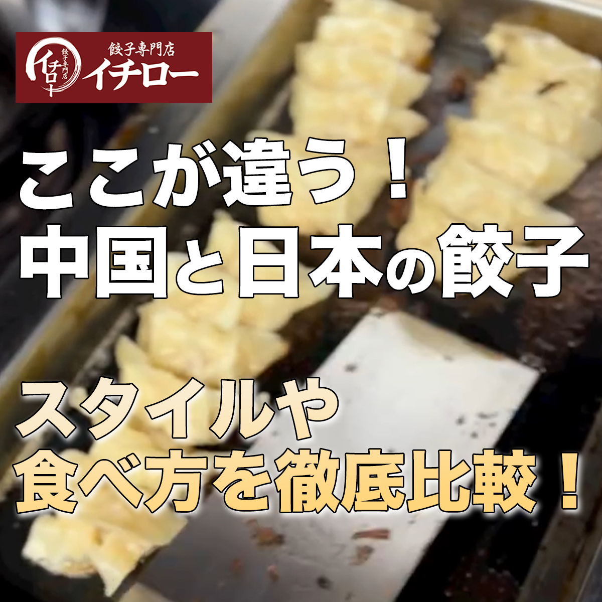 【中国と日本の餃子、ここが違う！】スタイルや食べ方を徹底比較！
