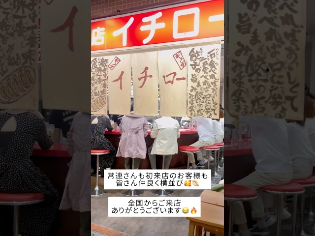 餃子とビールで乾杯！イチロー餃子の温かいカウンター風景