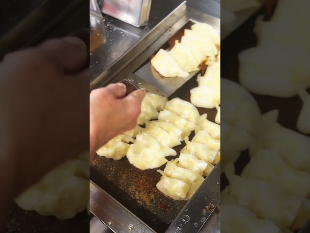 神戸味噌だれ餃子の香ばしい音…！イチロー餃子、今日も鉄板でじゅわっ