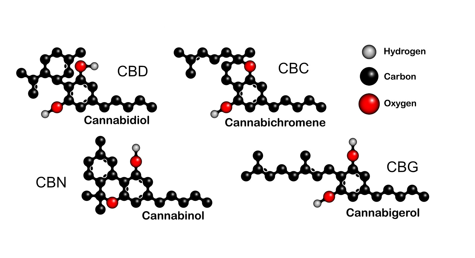 “カンナビノイド”とは何か? CBD、CBG、CBN、CBCとその効果について。