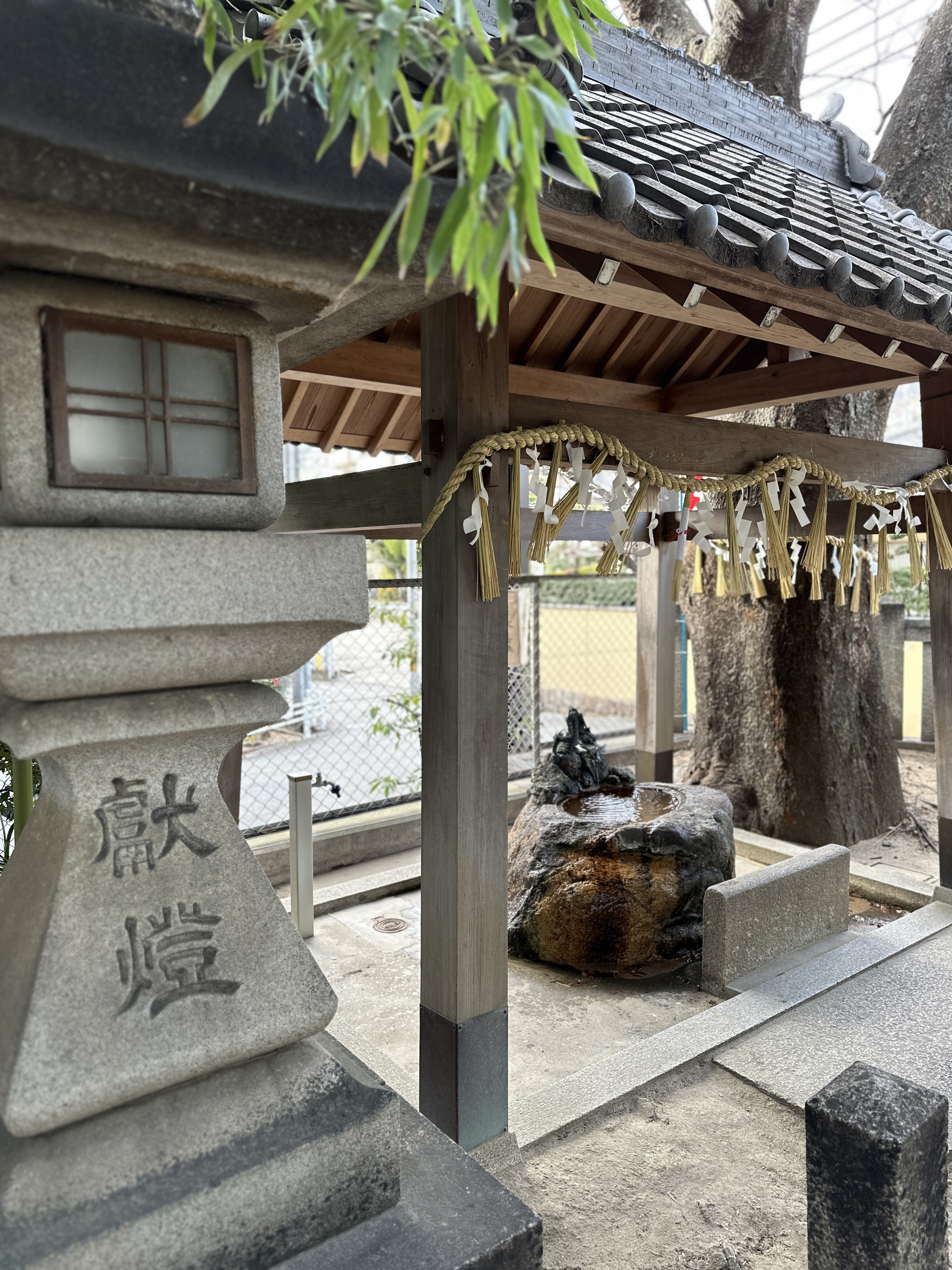 2023年🎍