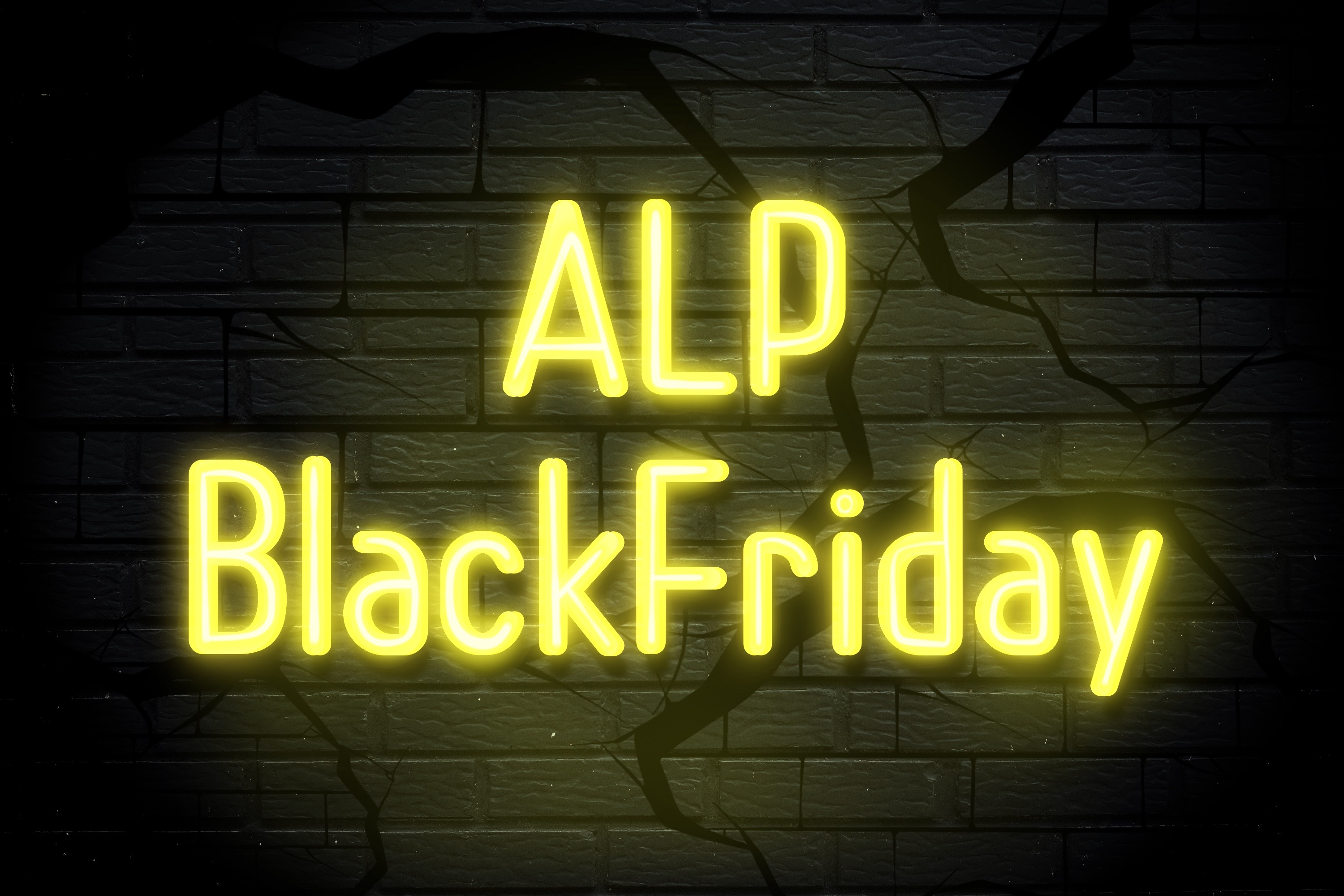 ALPブラックフライデーイベント開催！