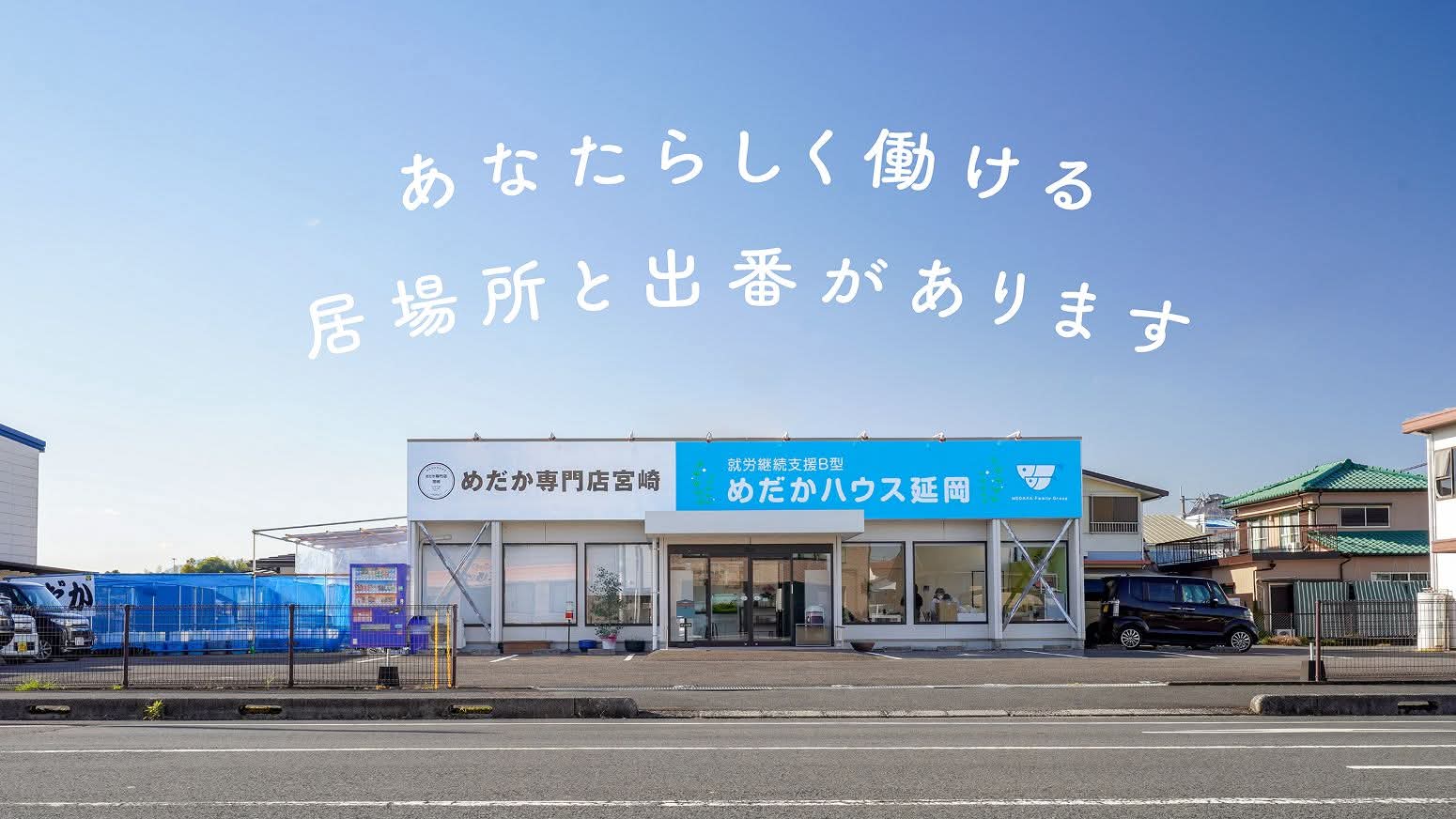 なぜめだか専門店宮崎のめだかは安いのか？