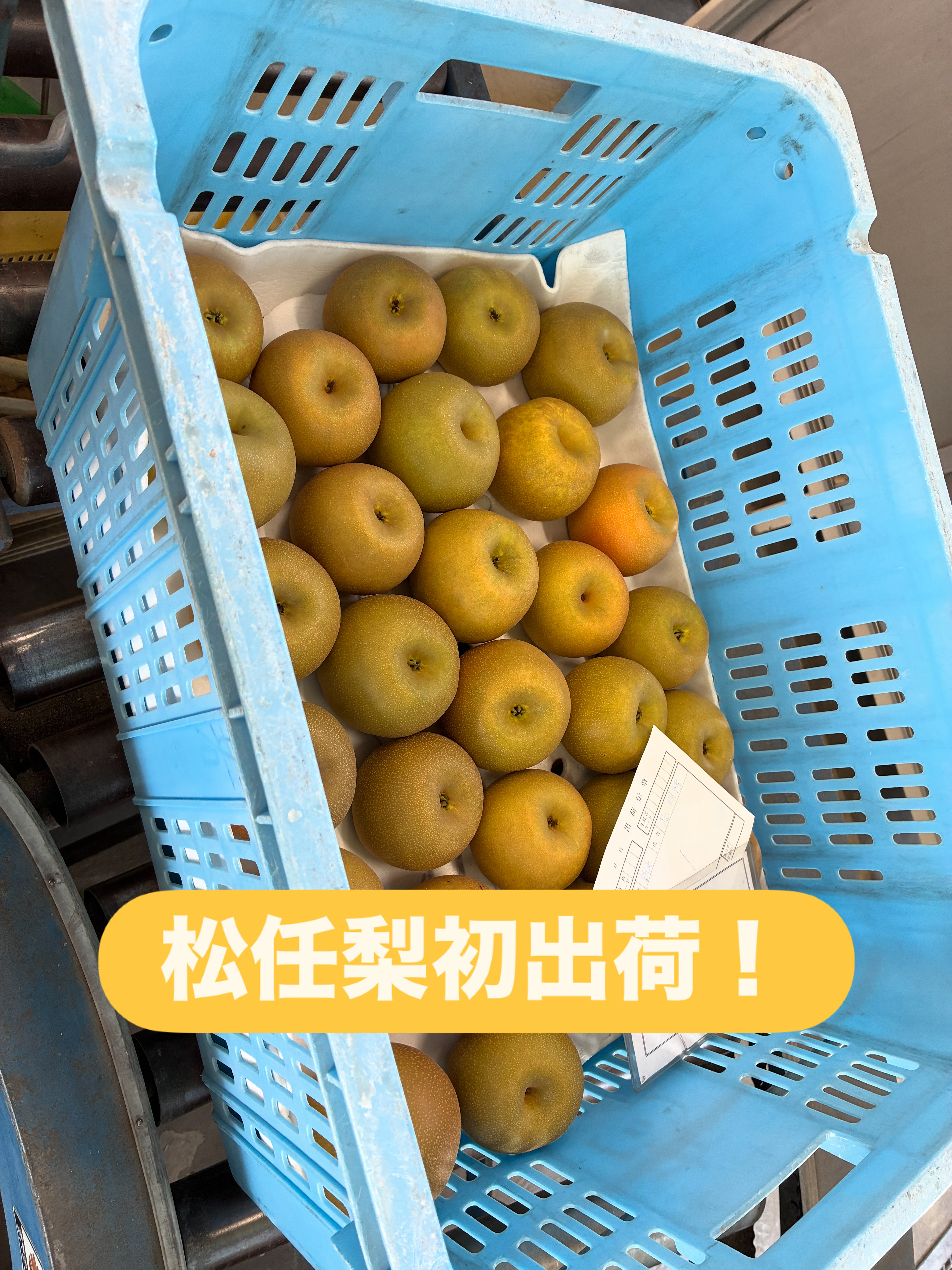 令和7年の直売所の営業について