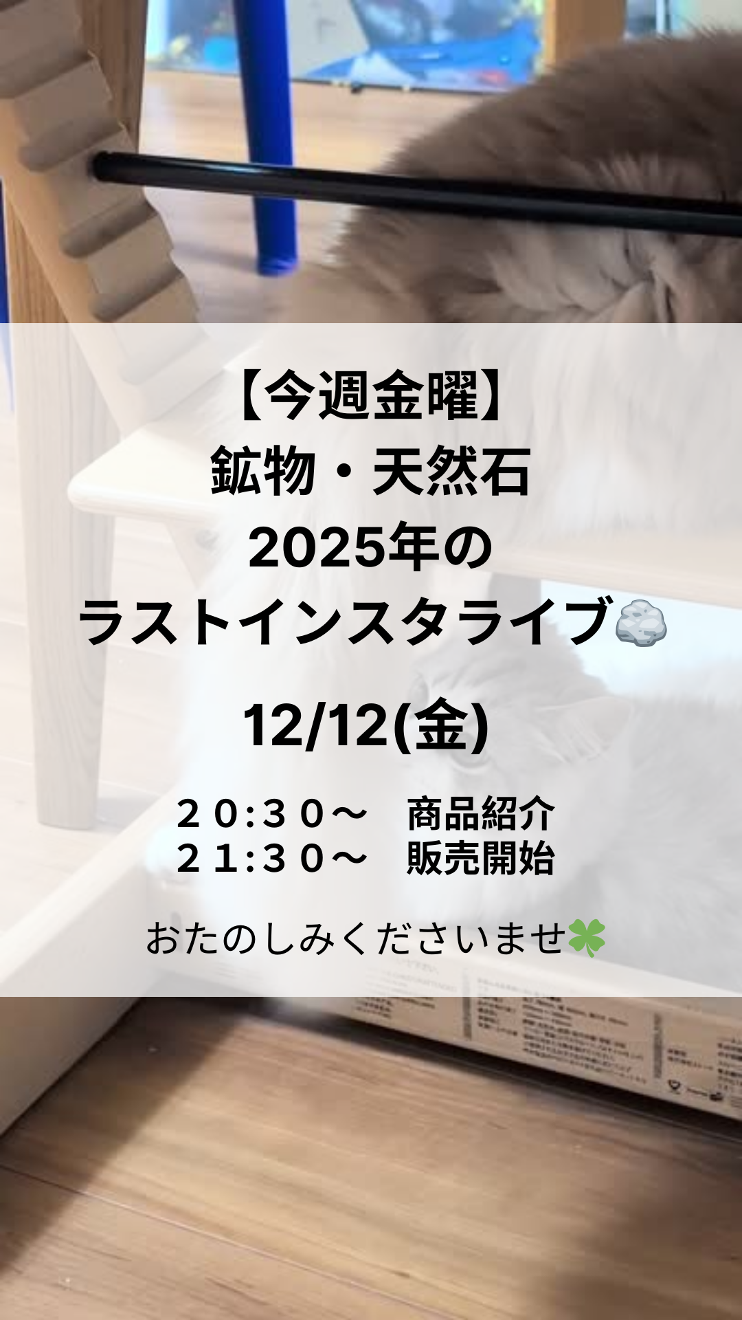 インスタライブお知らせ