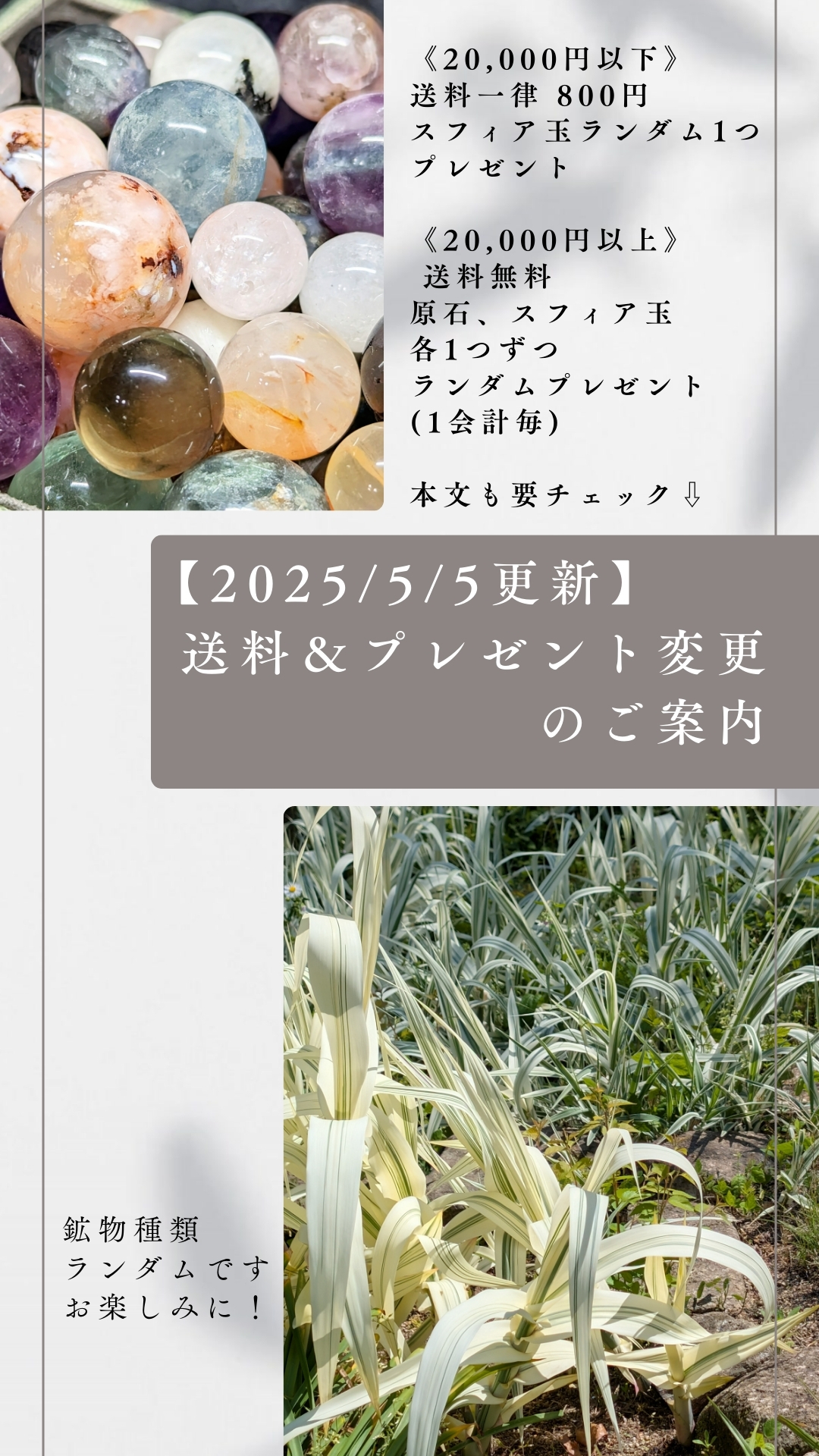 【5/5〜】送料＆プレゼント変更のご案内