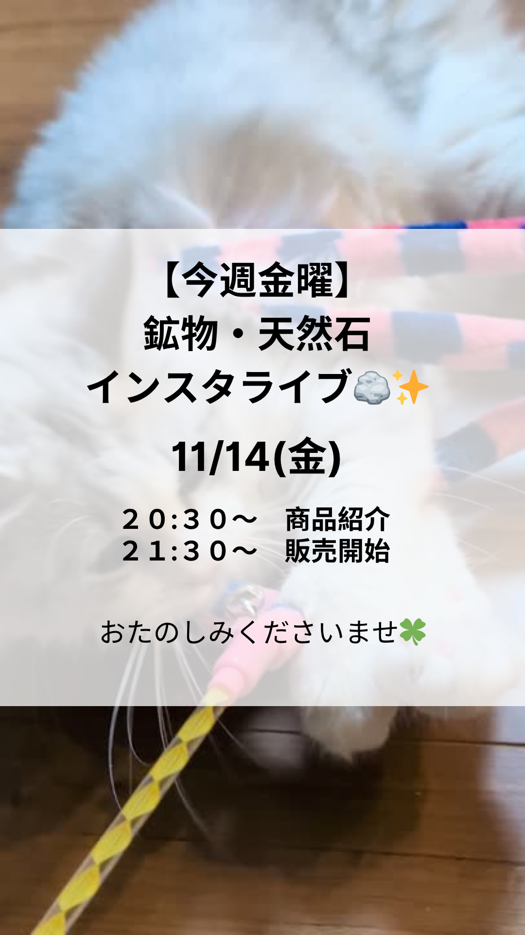 インスタライブお知らせ