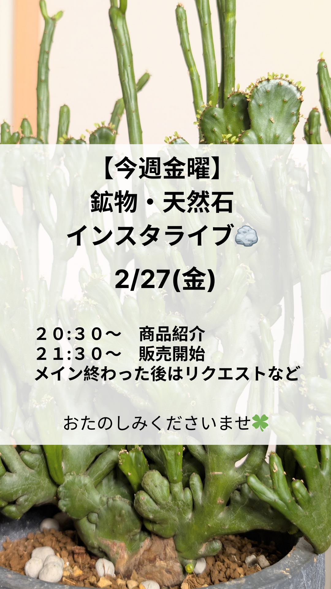 インスタライブお知らせ