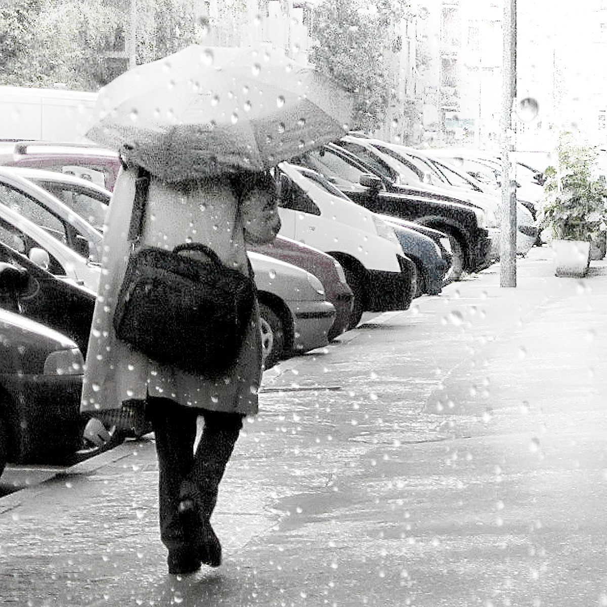 雨の土曜日