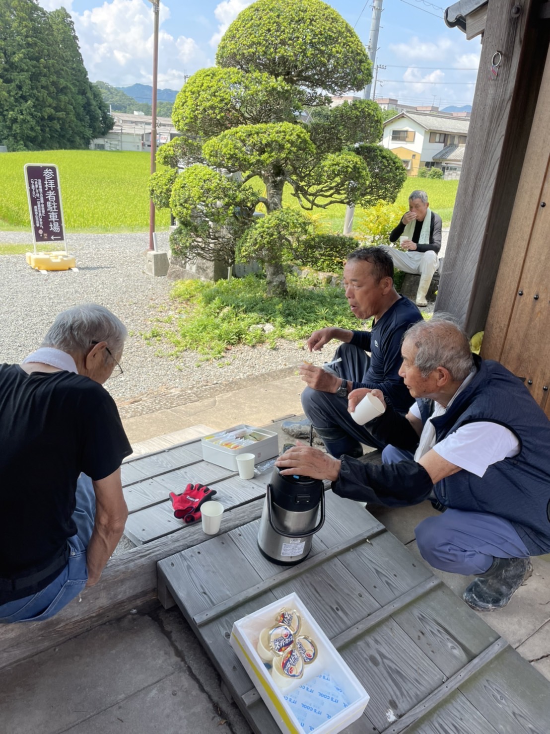 今日は支柱と紐張りです^ ^