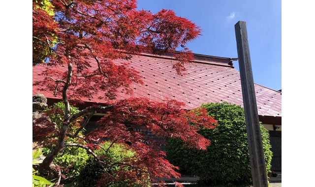 毎日新聞「つなぐ寺」主催　法話と黒枝豆収穫体験バスツアー
