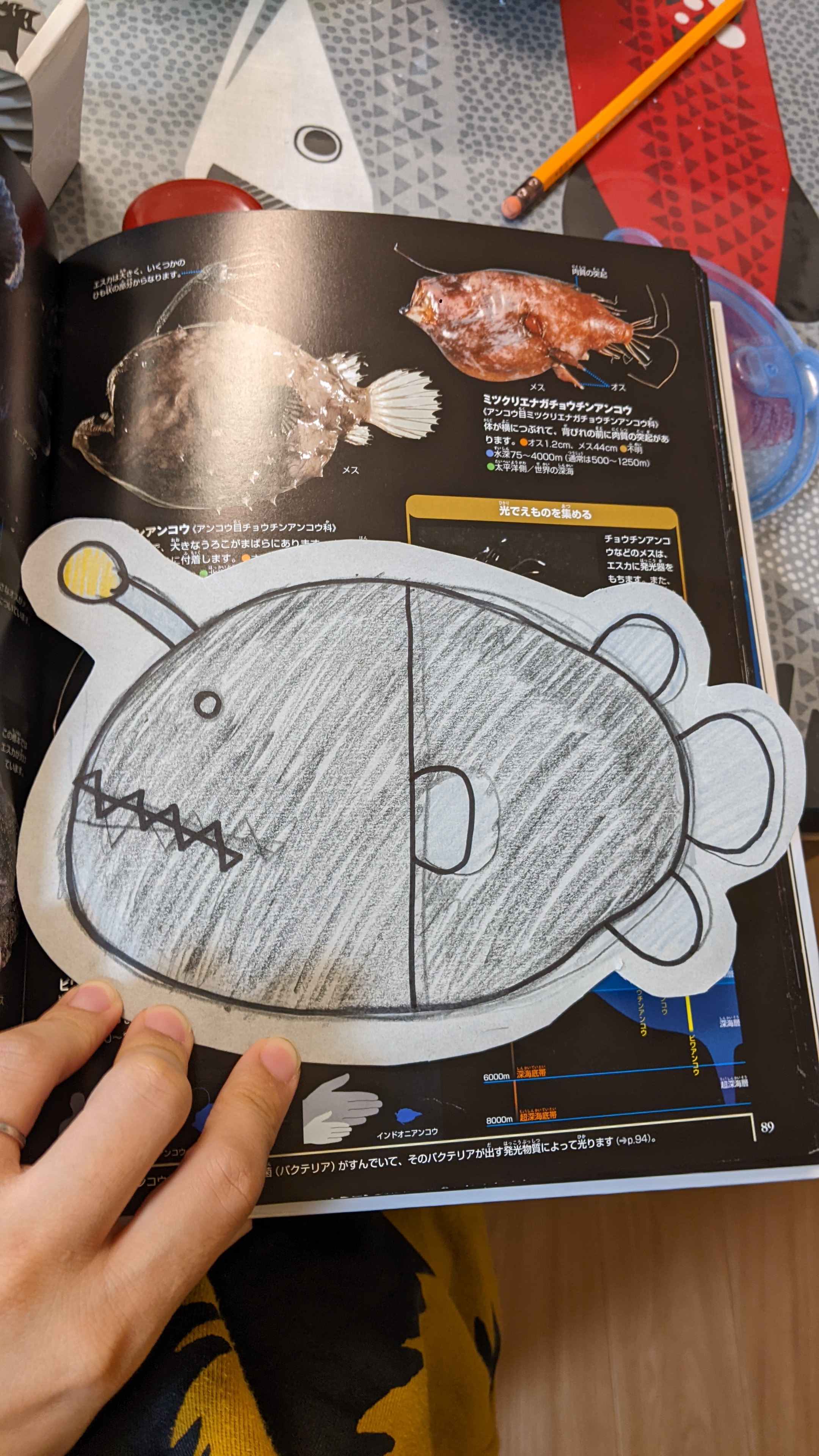 デザインの追求