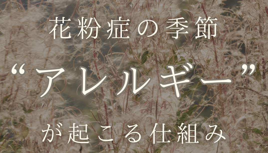 2月のMARIPOSA Letter「花粉症の季節..."アレルギー"が起こる仕組み」