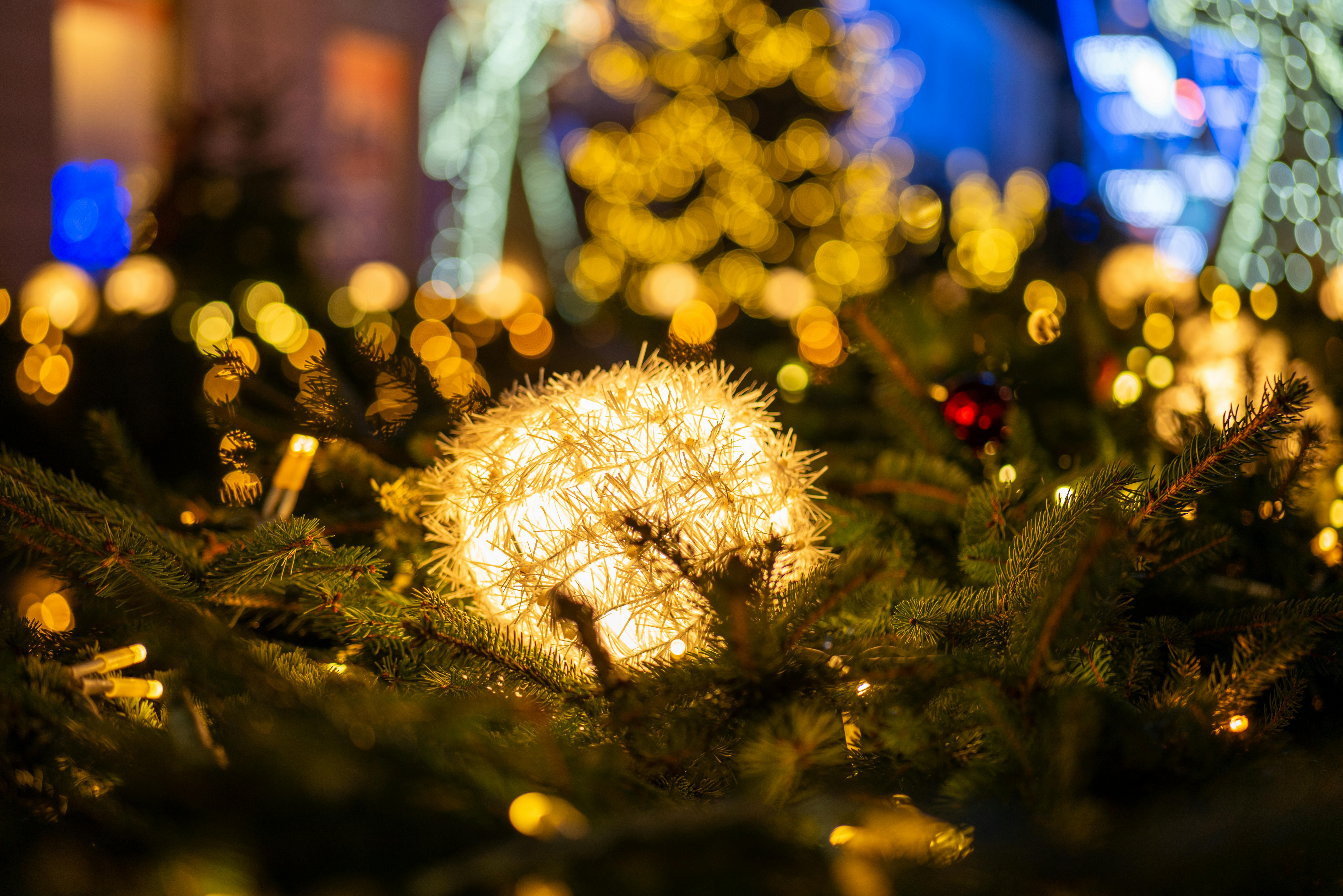 【賢い買い方】送料を気にせず「本物のはちみつ」を手に入れるチャンス。冬の備蓄は在庫がある今こそ！