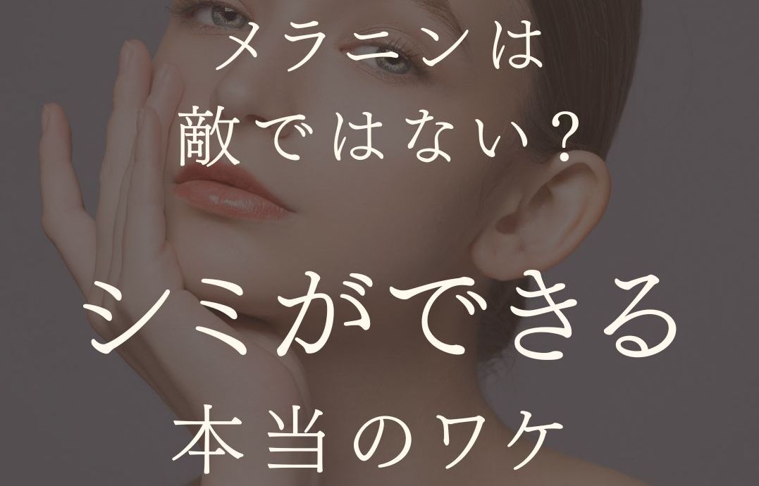 MARIPOSA Letter vol.24「メラニンは敵ではない？シミができる本当のワケ」