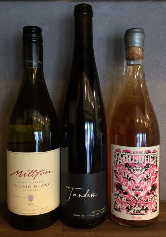 2025年9月 お届けワインのご紹介