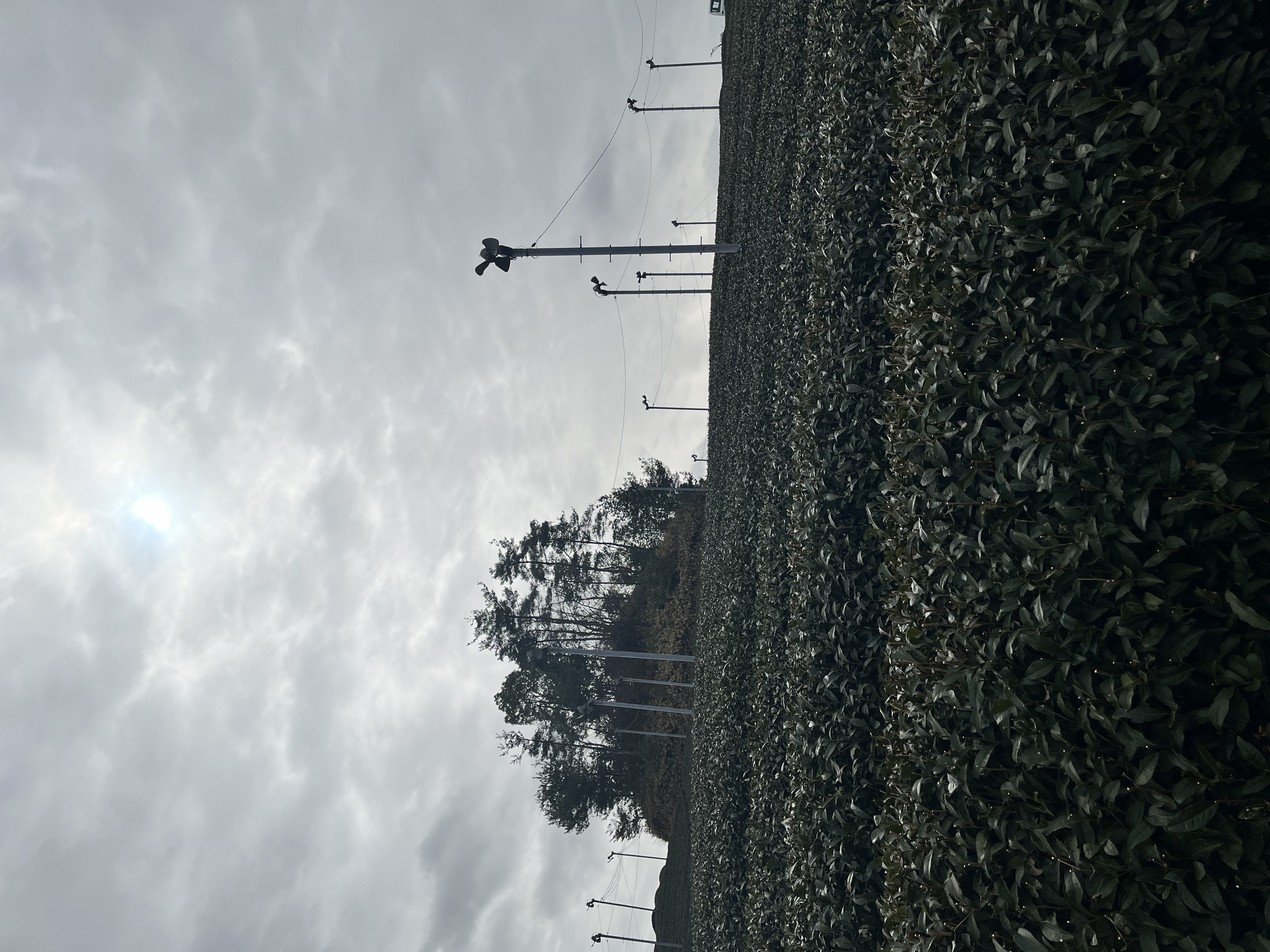 寒い…風強い…