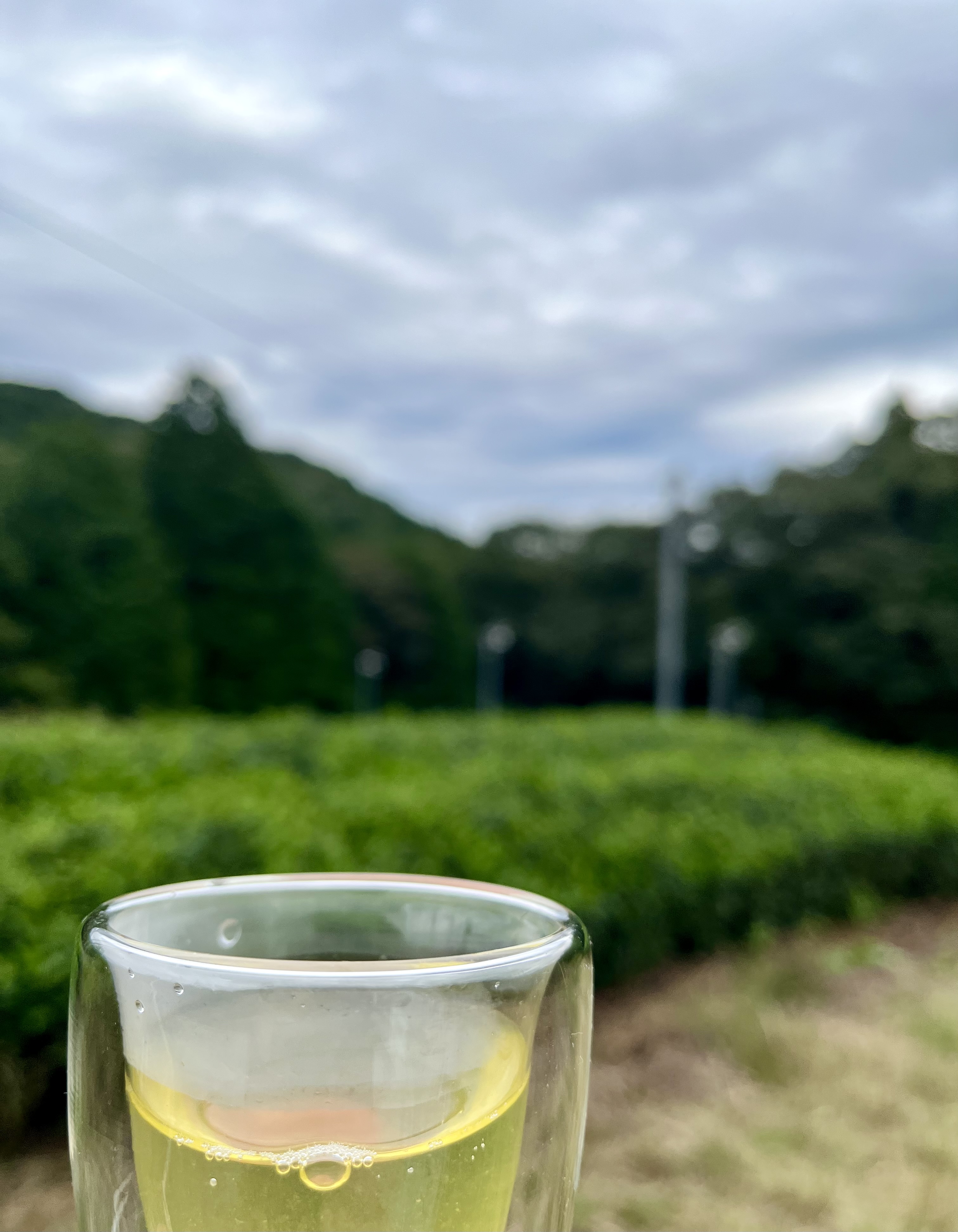 涼しいから肌寒いへ