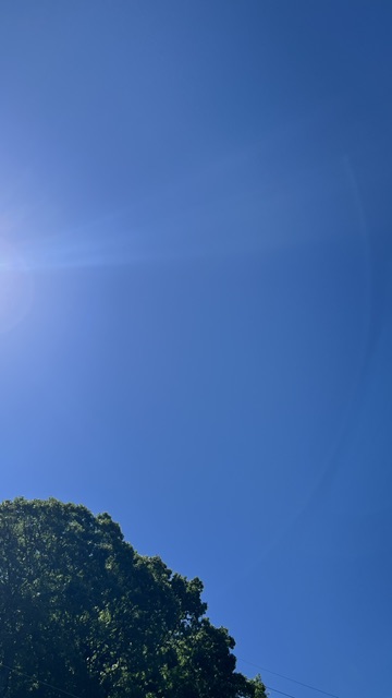 最繁忙期を終えることができました。