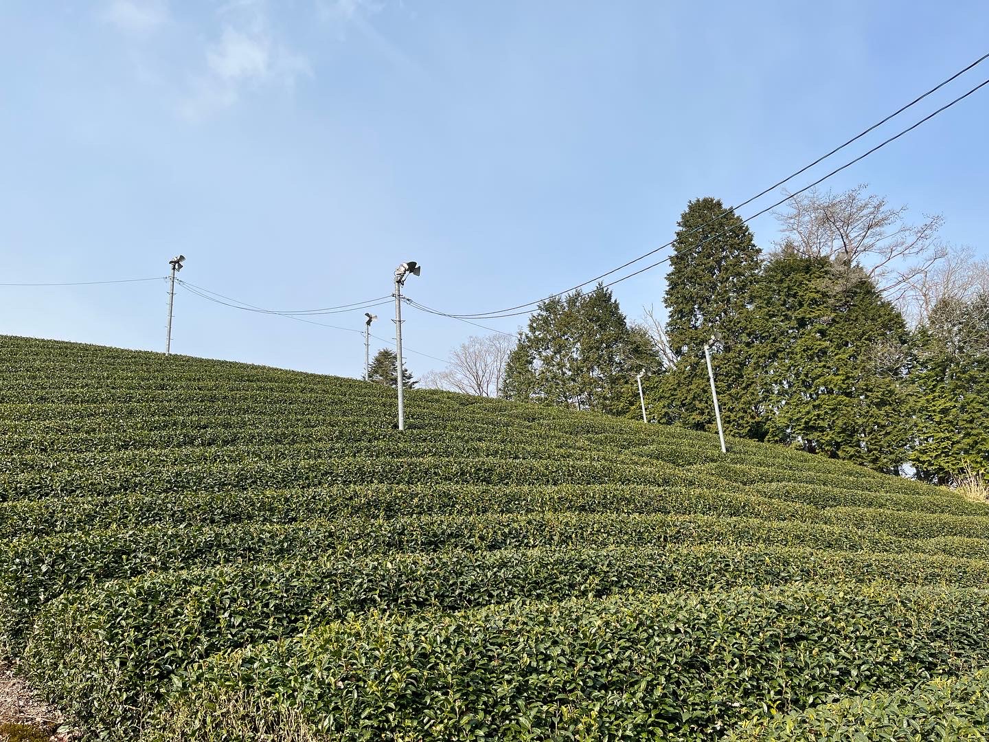 2023/01/07 始動。