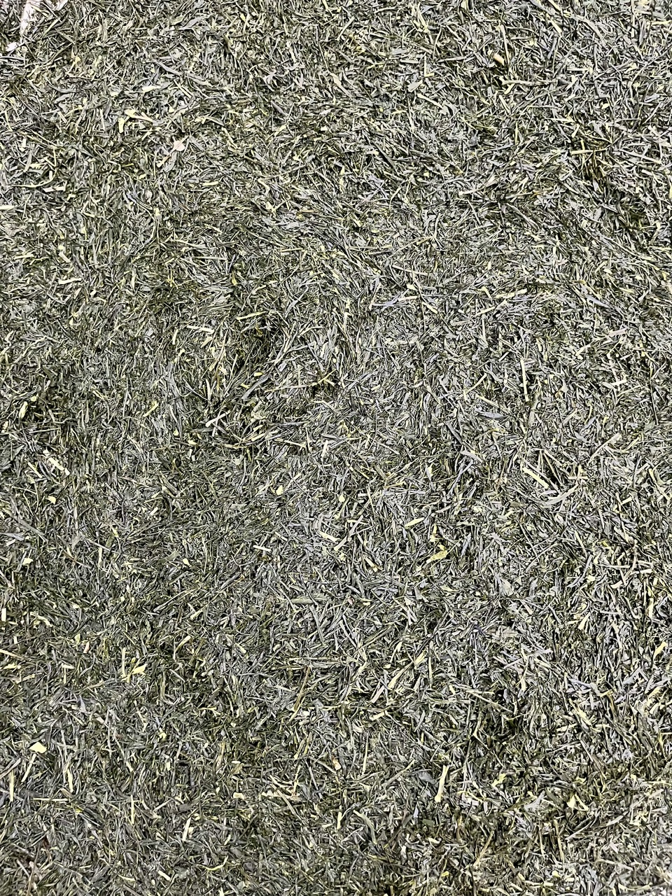 一番茶を摘み終えました