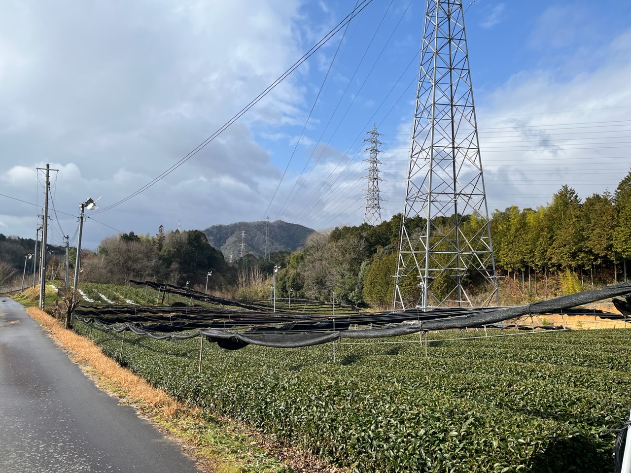 綾部で寒風野点！