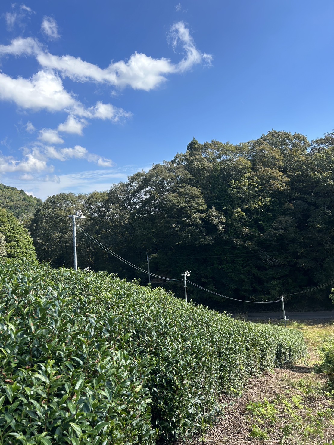 冬の準備