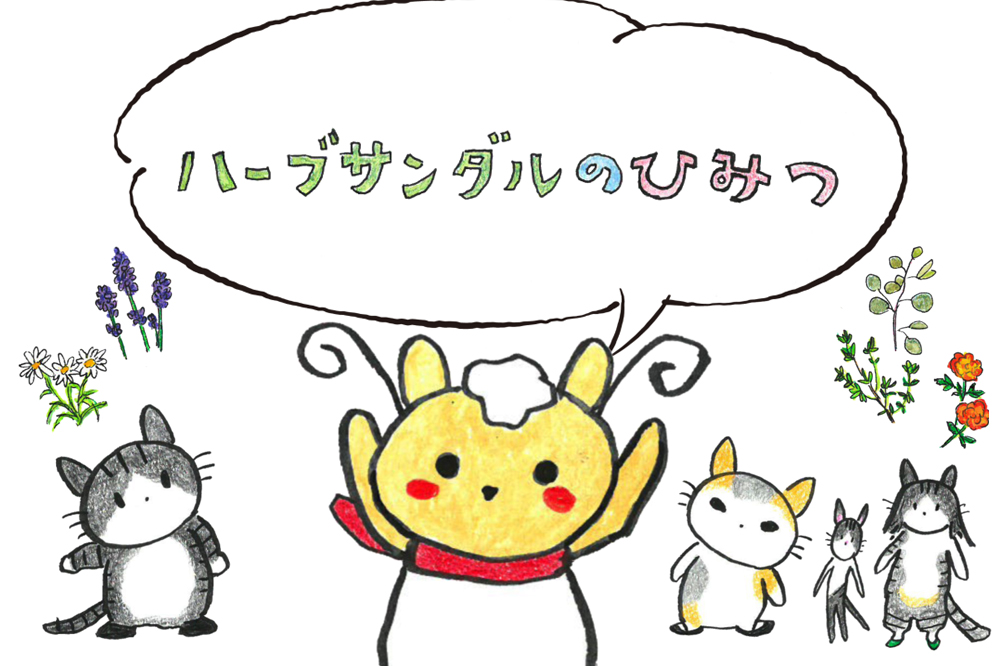 ハーブサンダルのひみつ　動画編