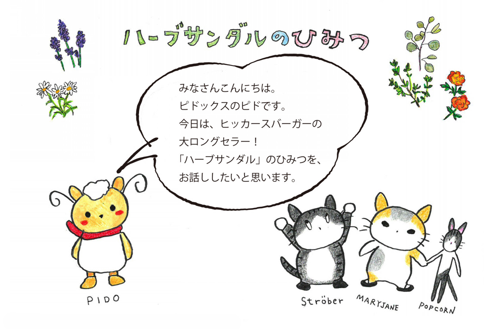 ハーブサンダルのひみつ