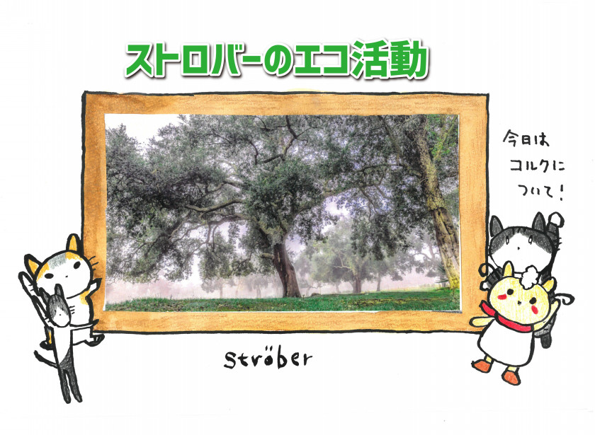 〈ストロバー〉のエコ活動2 イラスト編