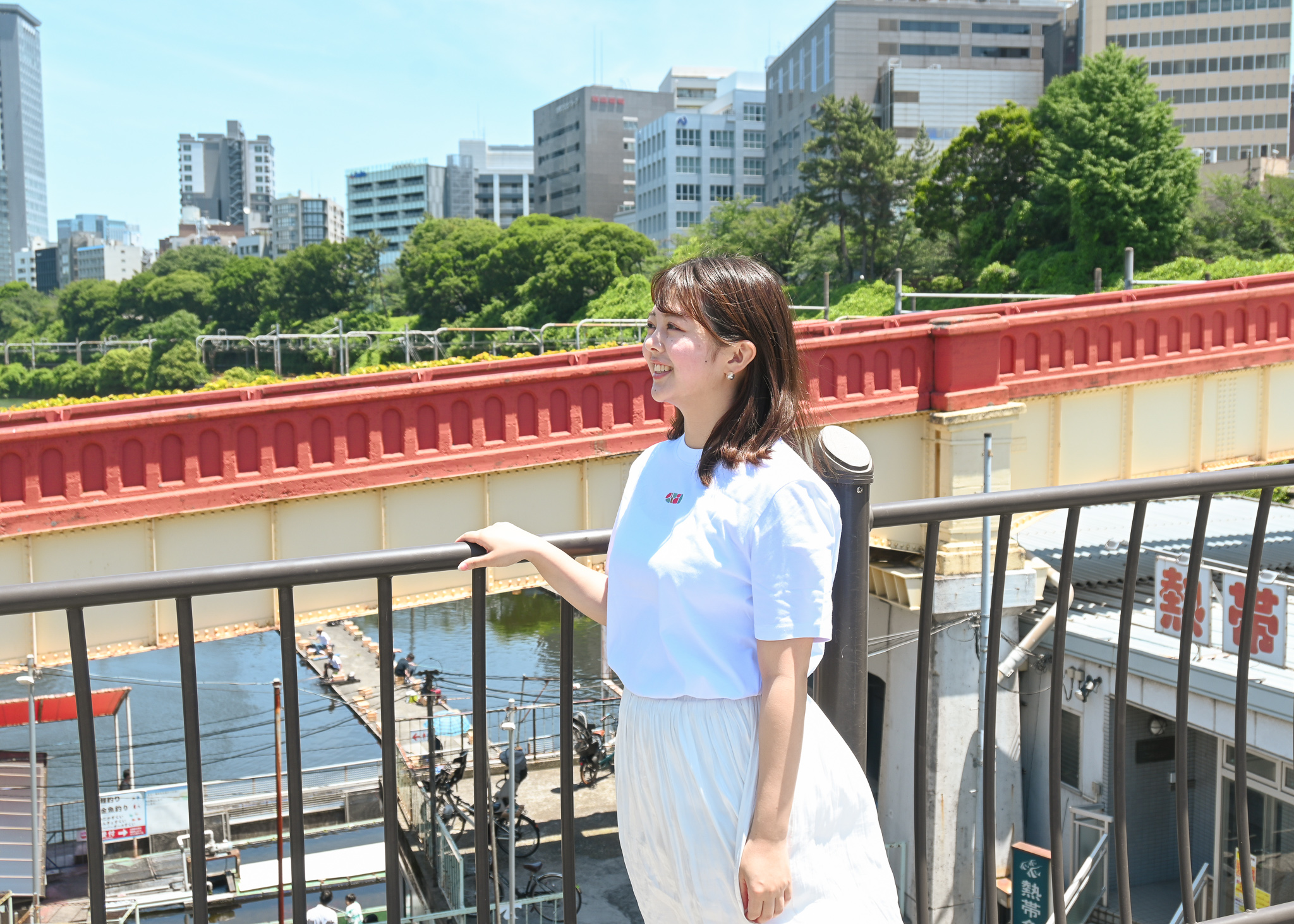 shining in summer
