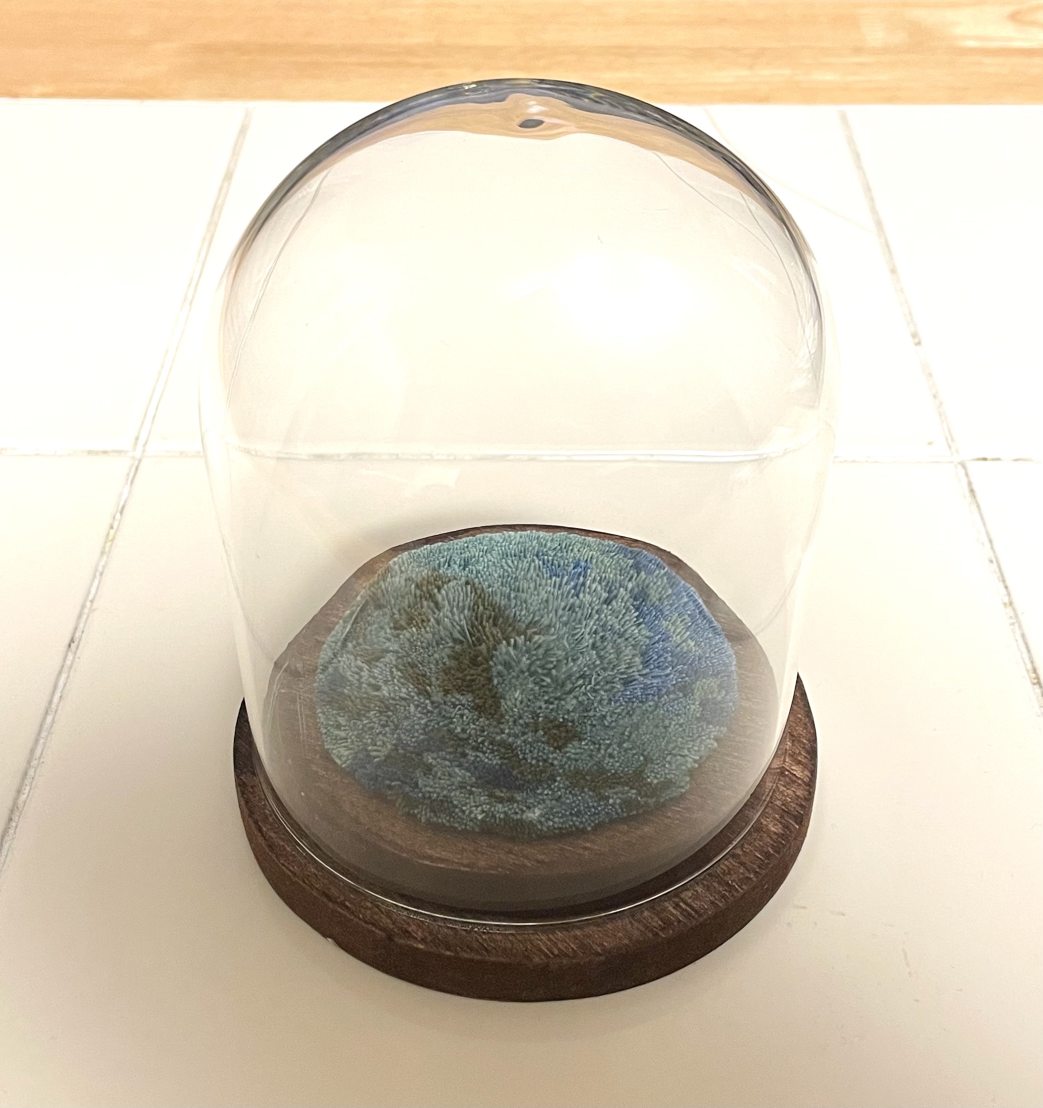 赤穂緞通