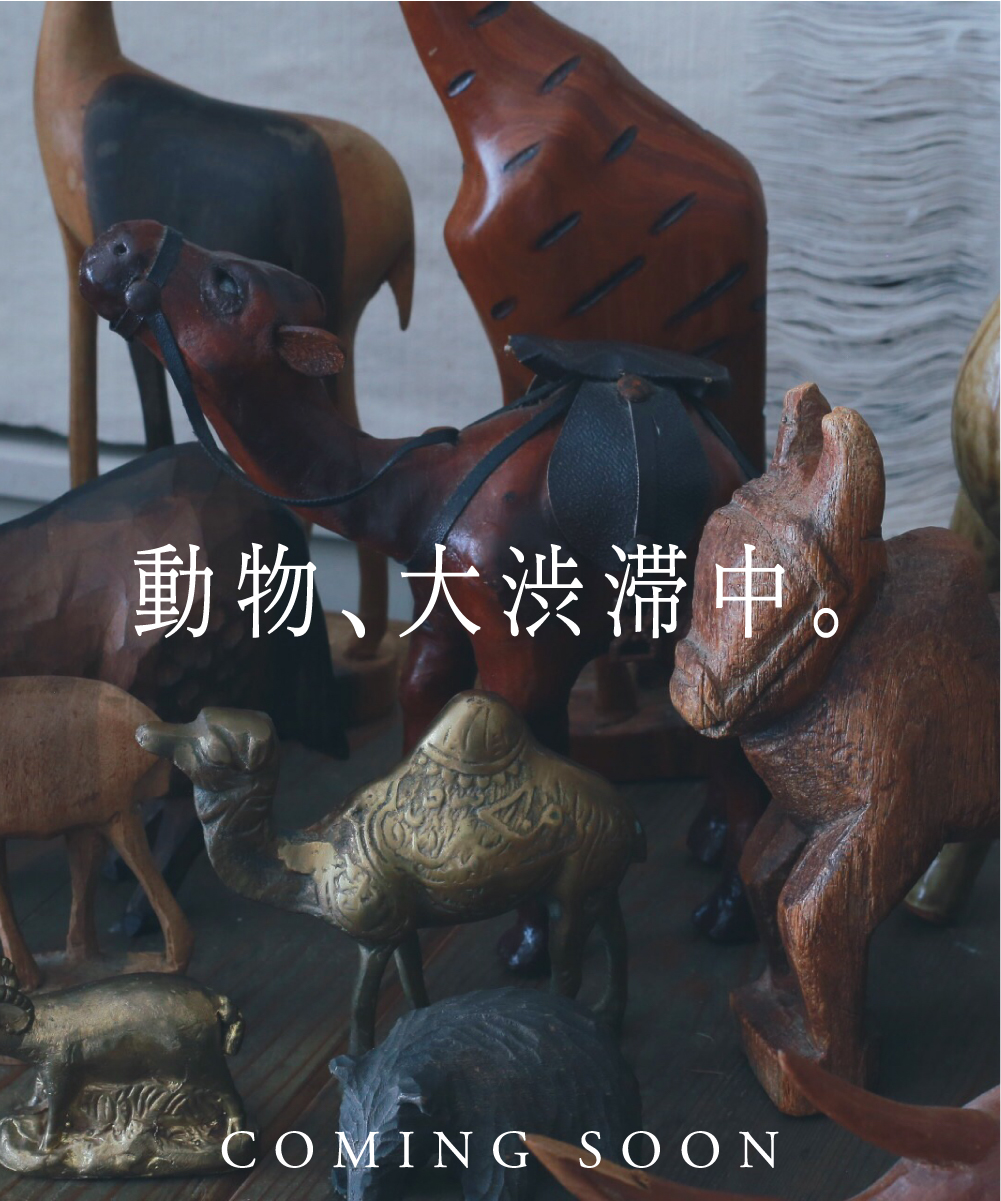 動物、大渋滞中。