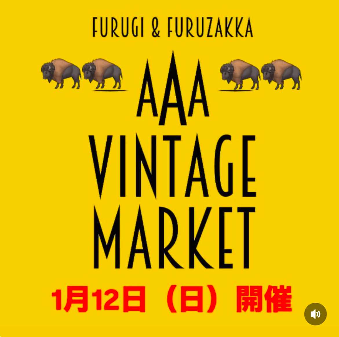 1月12日　AAA 出店予定