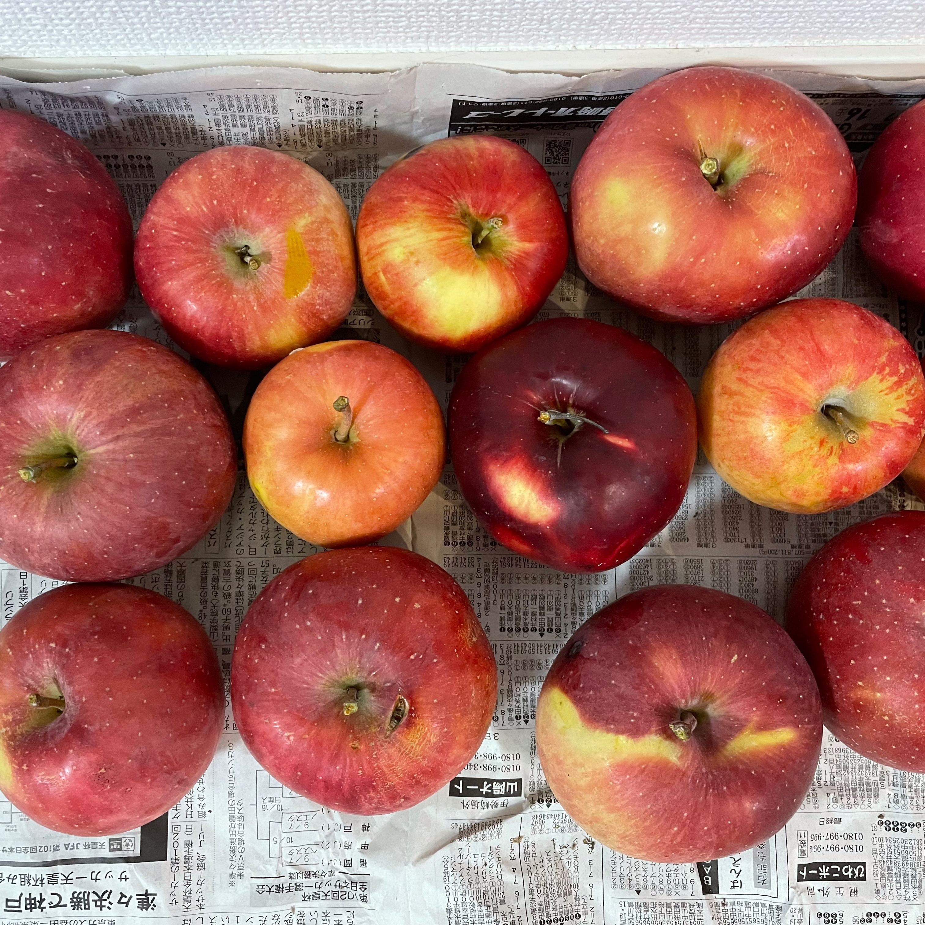 群馬のりんご農家さんから、りんごを買ってきました🍎